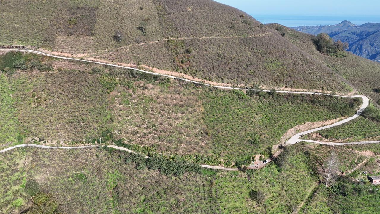 MABEL GAYRİMENKUL-ŞEYHMUSA KÖYÜ FIRSAT FINDIK BAHÇESİ